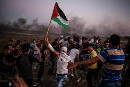 چرا فلسطینی‌ها از نوار غزه فرار نکردند؟