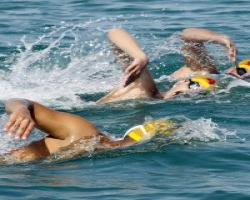 رقابت های کشوری شنای جانبازان برگزارشد