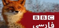 دروغ بزرگ BBC