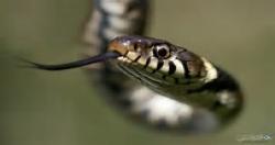 همه چیز به اذن خداست