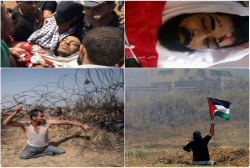 شهادت ۲جانباز فلسطینی در درگیری با صهیونیست ها+تصاویر