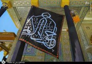شهادت دردانه امام رضا جان تسلیت باد
