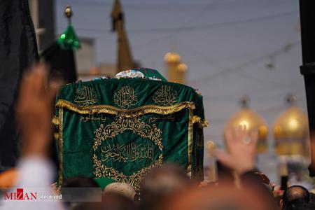 شهادت دردانه امام رضا جان تسلیت باد