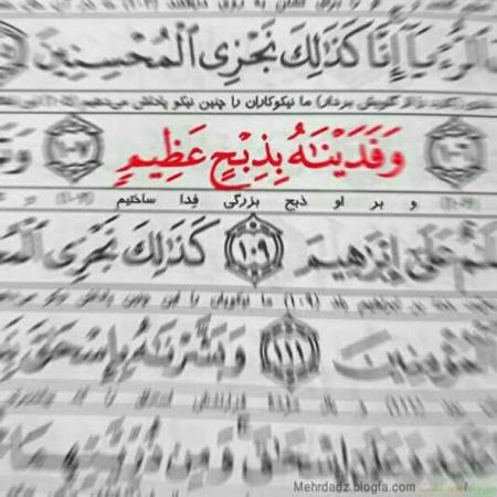 فیلم/ حفظ یاد شهید «جهاد» است