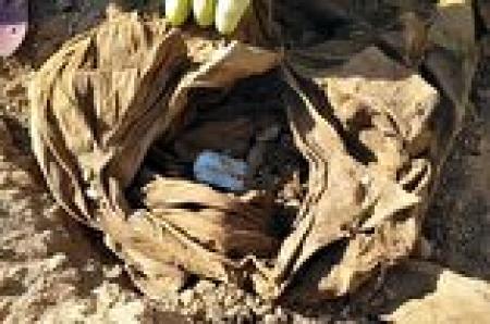 کشف پیکر مطهر یک شهید دفاع مقدس در چزابه/فیلم