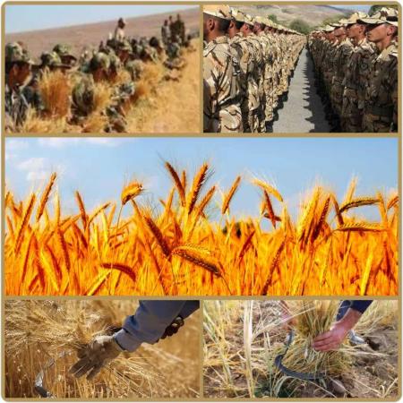 ماجرای سربازانی که برای حضرت زهرا(س) کارگری کردند!