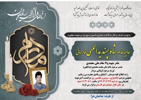 مادر پاسدار شهید علی محمدی فارسانی به فرزندش پیوست