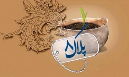 فیلم/ ویژه برنامه پلاک هشت؛ فیلم سینمایی «پیش مرگ»