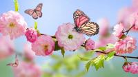 برای نوروزی که می‌آید! 