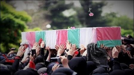 پیکر پاک شهید گمنام میهمان شهر ویس شد