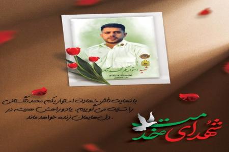 شهادت مأمور انتظامی هرمزگان هنگام تعقیب و ‌گریز قاچاقچیان
