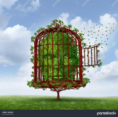 قفس خوشایندبودن را بشکن