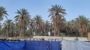 خدمت زیر سایه نخل‌ها!