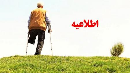 درخواست اختصاص خودروی داخلی به همه جانبازان