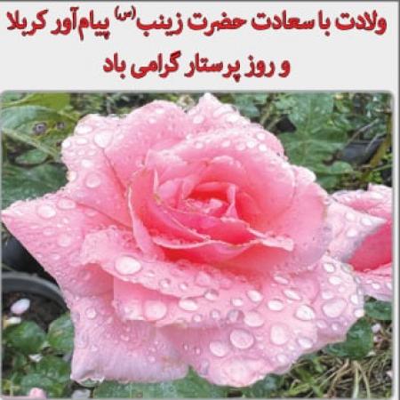 ایران؛ ققنوسی که از خاکستر جنگ برمیخیزد ایران؛ ققنوسی که از خاکستر جنگ برمیخیزد