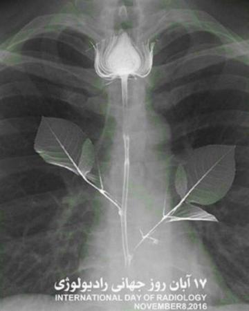 من، پرتوکارم…من پرتوشناسم!