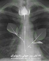 من، پرتوکارم…من پرتوشناسم!