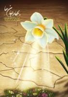 یک تقلب در حوزه مهدویت !