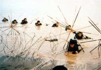 کربلای چهار و حماسه ماهی‌های آزاد اروند!