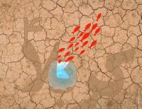 قرارگاه یادها!