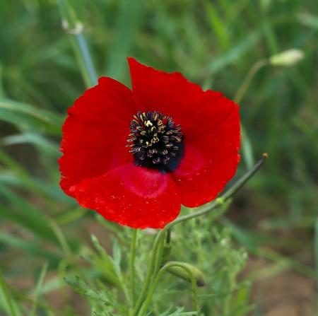 تعجیل کن که آینه‌ها صف کشیده‌اند