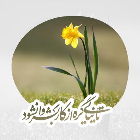 تا نیایی ... گره از کار بشر وا نشود.....!