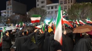 نمی‌دانیم این شب‌ها عاشوراست یا اربعین!/تصاویر
