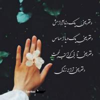  دل‌نوشته‌ یک دختر امروزی در رثای رهبر شهید....