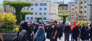 سفری با پای دل