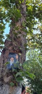 سفری با پای دل