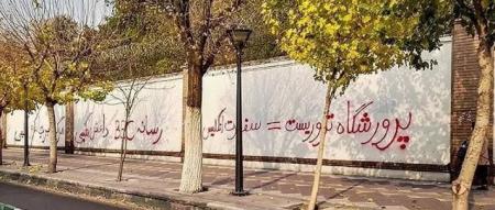 خزه‌هایی که به دیواره استخر انگلیسی‌ها چسبیده‌اند! 