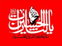 آیا امامان بعد از امام حسین(ع) از قاتلان آن حضرت خونخواهی کردند؟ 