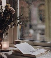 شهری پر از قصه‌های نخوانده