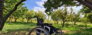 اردوی مسابقات بسکتبال جانبازان ویلچری تهران و اردبیل