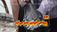 بوی پیراهن یوسف ز کنارک آمد