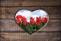 عاشقانه‌ یک جانباز برای دختر معلمش