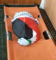 ابیاتی برای نوزاد فلسطینی