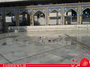 زیارت در زیارت!