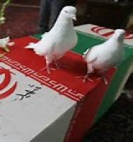 جانباز مهندس محمد طالبی به شهدا پیوست!