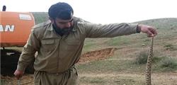 مردی که به دنبال شهدا می‌گشت خودش شهید شد