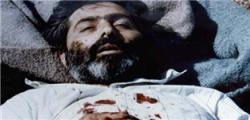شعری که در چهلم شهیدآوینی سروده شد