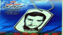 دیدار استاندار کرمان با خانواده شهید تویسرکانی