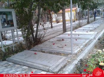 یک پنج شنبه است و یک قطعه بهشت/تصاویر