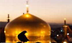 جایی برای حرف هایی که نمیتوان گفت!
