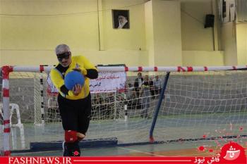جام قهرمانی گلبال جانبازان بصیر، به تهران رسید/تصاویر