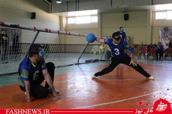 جام قهرمانی گلبال جانبازان بصیر، به تهران رسید/تصاویر