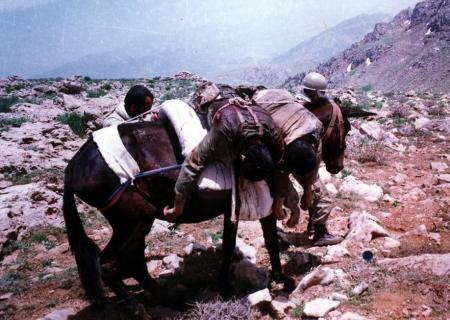 نقش گردان "قاطریزه" در دفاع مقدس