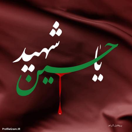یا حسین شهید