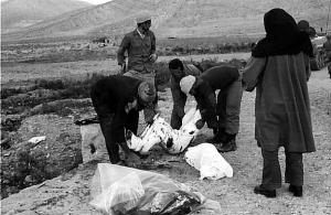 گفت‌وگو با اولین بانوی عکاس‌خبرنگار دفاع مقدس/تصاویر 