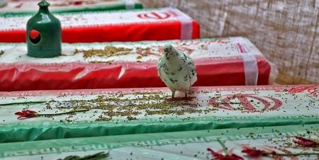 سومین کنگره سرداران و شهدای بشرویه برگزار می‌شود
